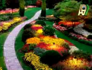 Excellent Muslim Women Our Mother Hazrat Aisha's (ra) - 2-