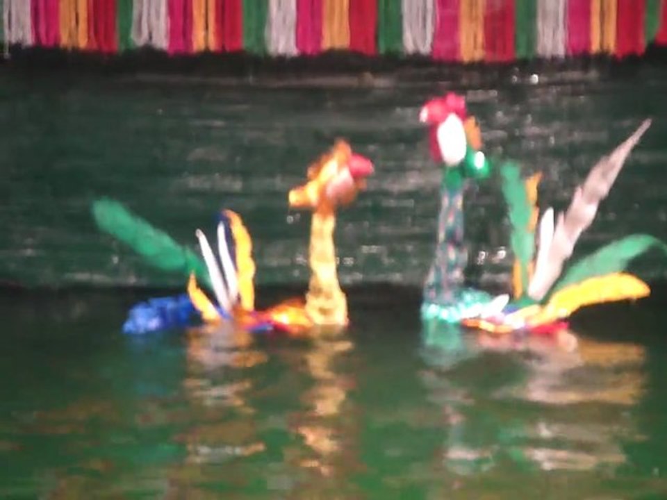 2009-9 Marionnettes sur eau Vietnam