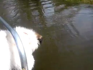 Lola qui aime faire un tour en barque