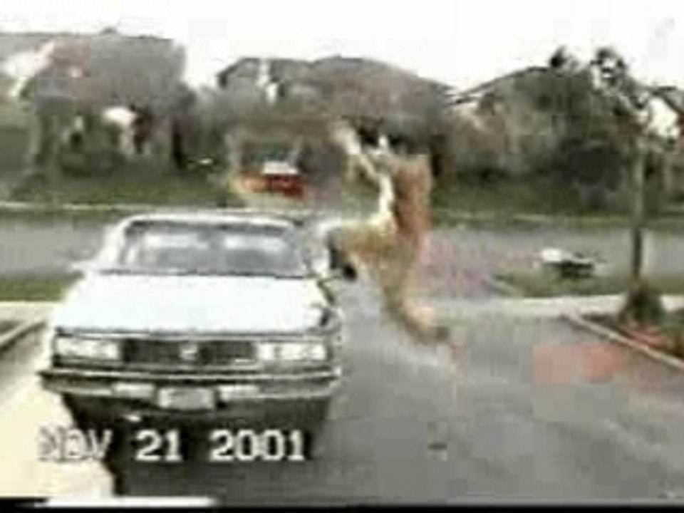 Capoeira