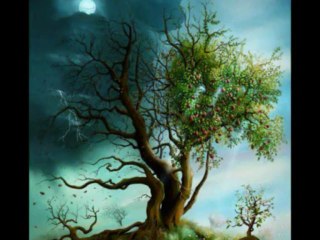 Rebel Rock Ranch Feels Like Home