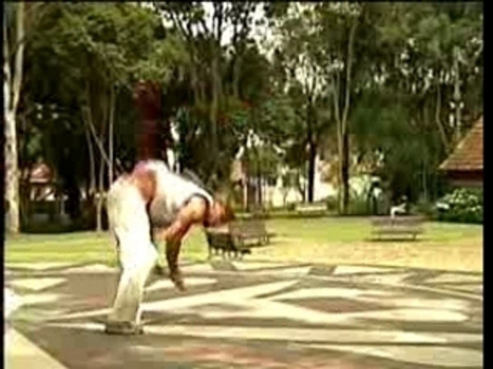 Capoeira martial arts fight