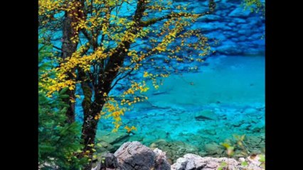 KULAKLARIN ÇINLASIN