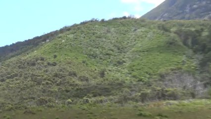 AUSTRALIE-Wilsons Promontory National Parc (1/2)