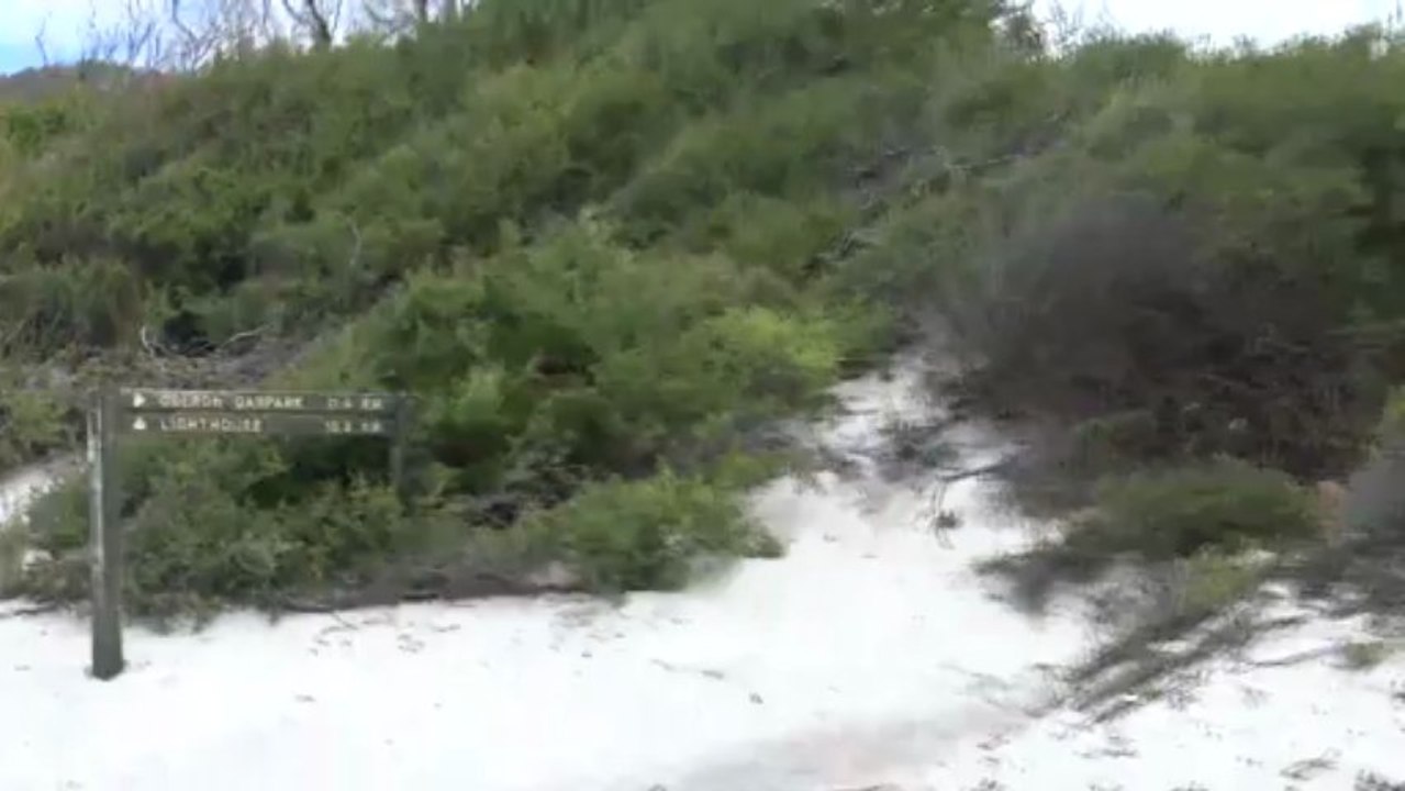 AUSTRALIE-Wilsons Promontory National Parc (2/2)