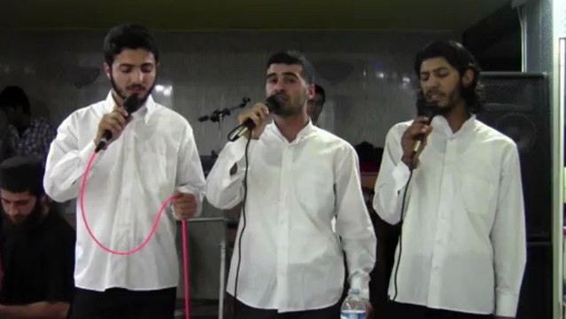 Grup Diriliş Adana Kalem Olsam Yazsam