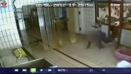 Napoli - Camorra, ucciso in un caseificio: killer incastrato da video (15.04.13)
