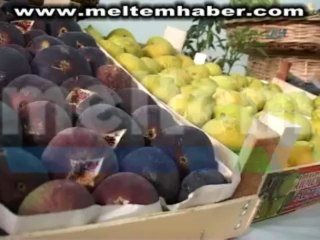 TAKSİM DE GDO YA HAYIR EYLEMİ