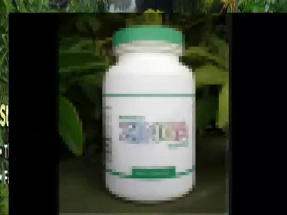 moringa supplement