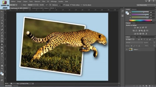 Thumbnail