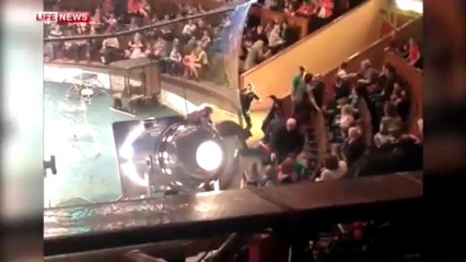 Anciana es atacada por una pantera