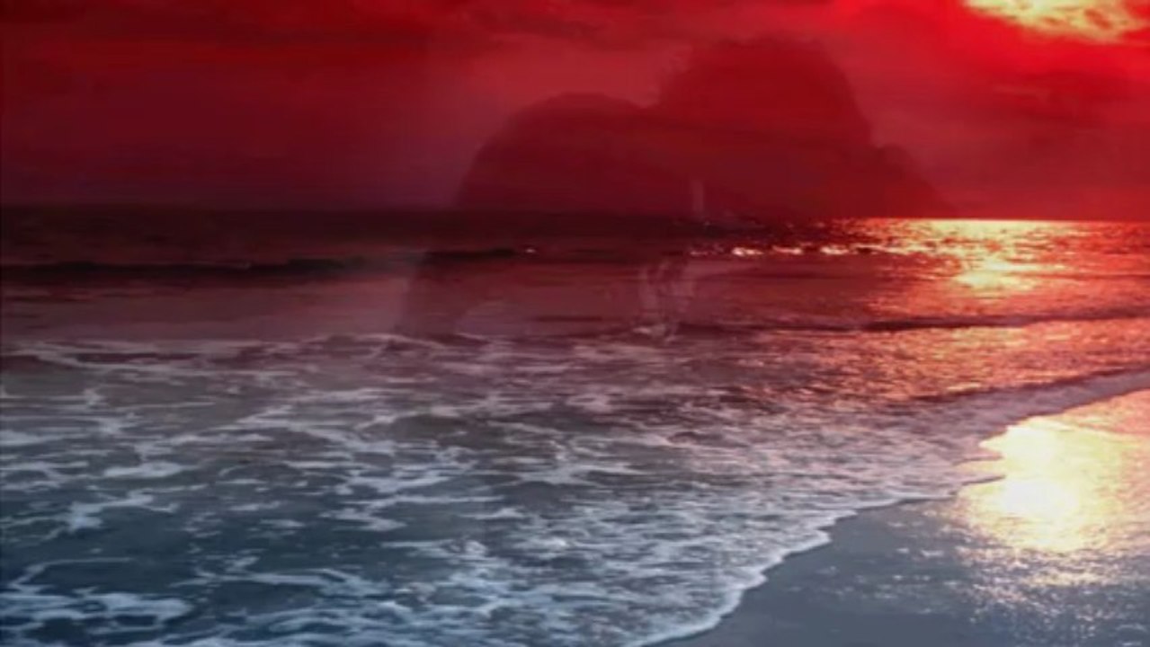 Wo die Sonne im Meer versinkt - Nachtfalken