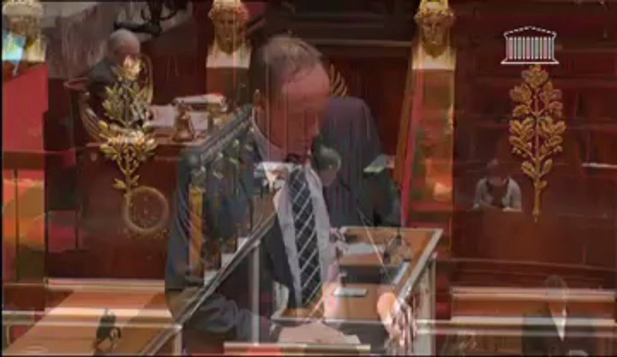 Intervention en séance du 28 novembre 2012 - suspension et interdiction du bisphénol A