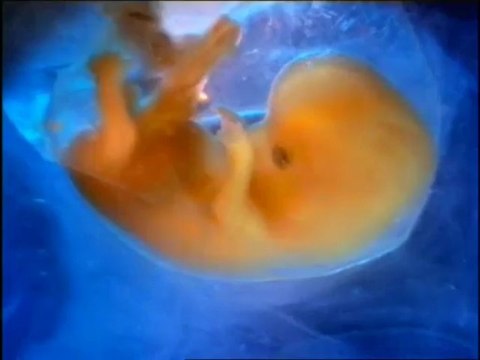 Hazreti Meryem Belgeseli (Harun Yahya)