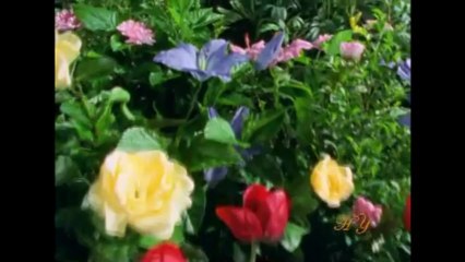 Technology is a Mercy from Allah - Nikola Tesla