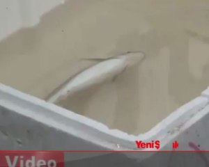 İnsanlığın öldüğü yer