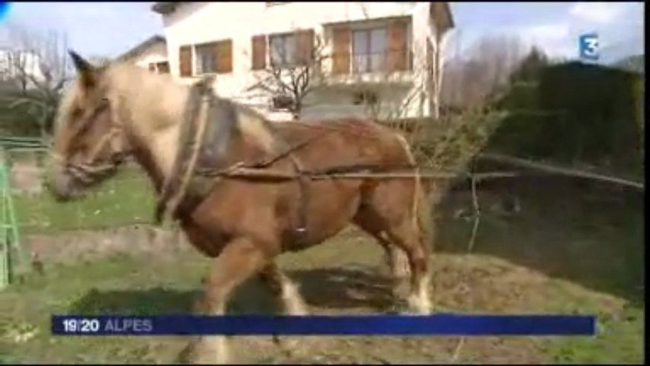 Les Gros Sabots au 19/20 FR3 Alpes du 04 avril 2013