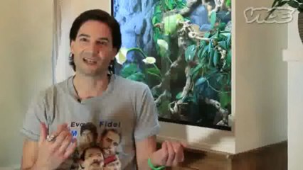 Steve Ludwin, l'homme qui s'injecte du venin de serpent pour renforcer son système immunitaire