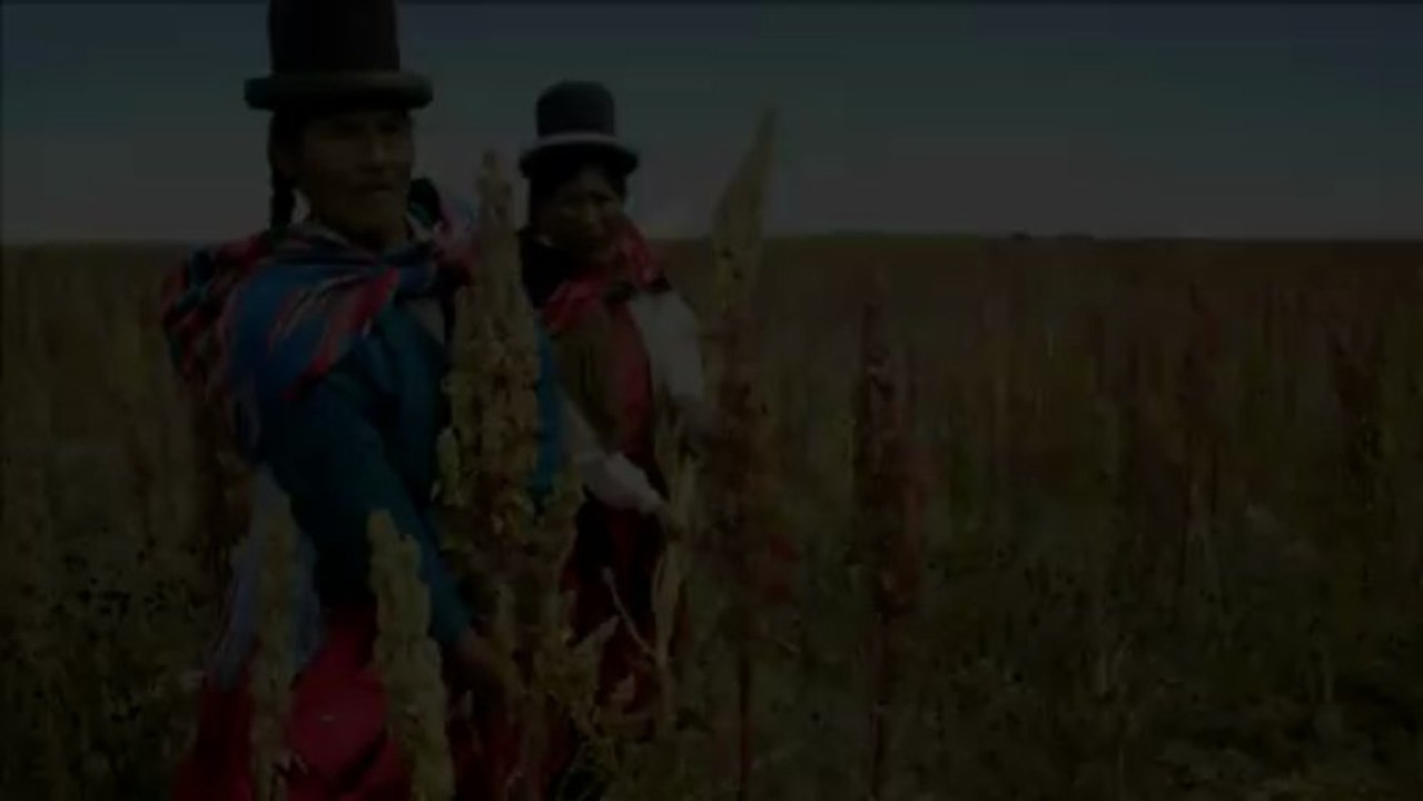 Rota da Quinoa