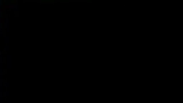 [Bwin - poker] Publicité, Domenech le retour (2010)