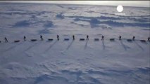 Greenpeace in azione al Polo Nord
