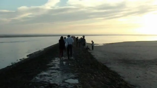 New01.mpg Les Phoques Berck sur Mer