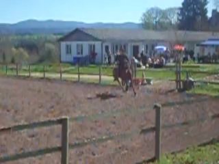 Hunter club élite GP avec Compte:)