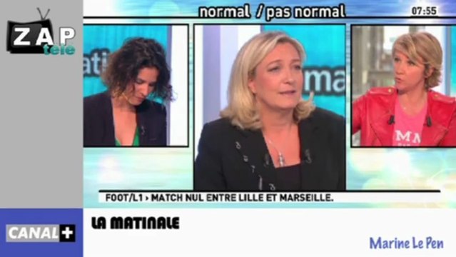 Zapping Actu du 16 Avril 2013 - Nicolas Sarkozy et Jean-Paul Belmondo, Sur le patrimoine des Ministres