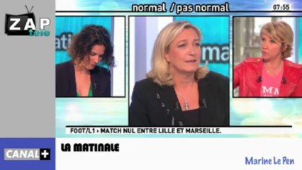 Zapping Actu du 16 Avril 2013 - Nicolas Sarkozy et Jean-Paul Belmondo, Sur le patrimoine des Ministres