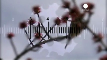 Late spring bad news for hay fever sufferers