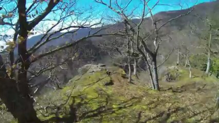 La Petite Suisse Alsacienne: Hirschfels