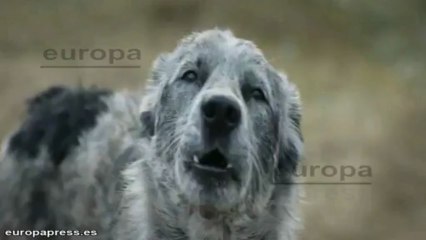 'Oblivion', líder indiscutible de la taquilla española