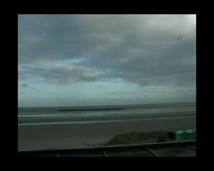 Mer du Nord et oiseaux