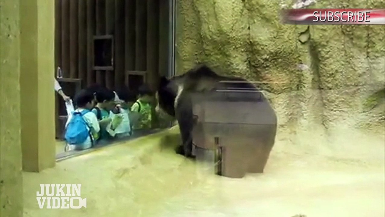 Head Banging Bear ROCKS OUT With Kids