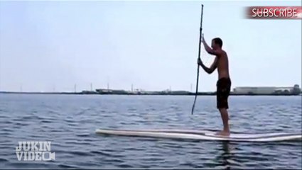 Manatee Knocks Guy Off Paddle Board