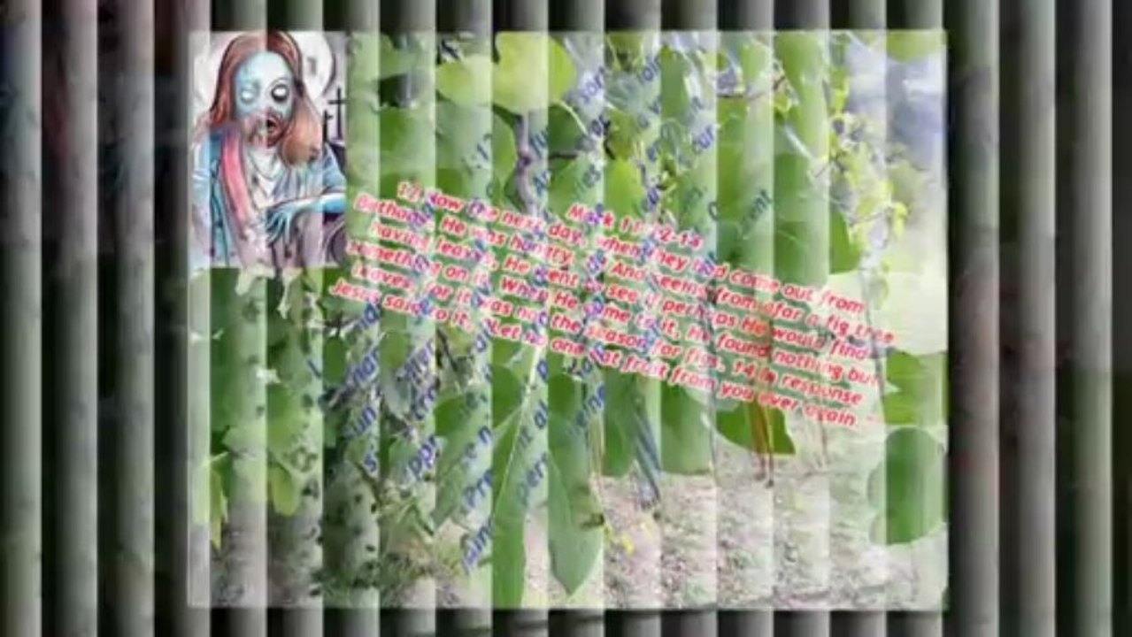 1/10 Enseignements ridicules de jésus-Ridiculous Teachings of Jesus-bible christianisme-christinity