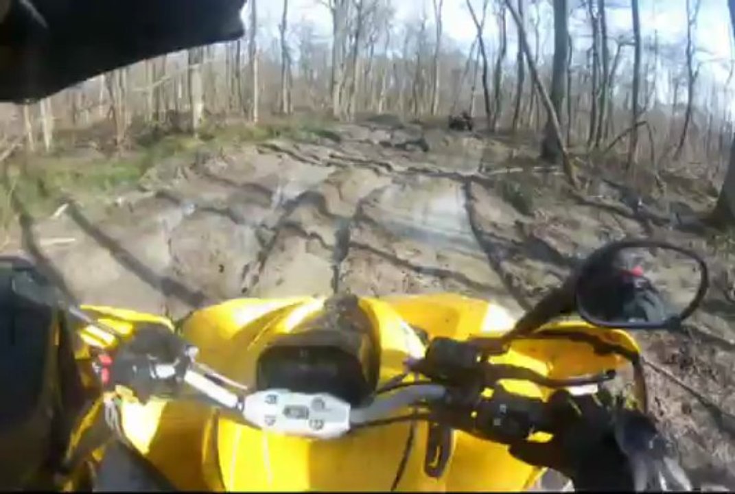 Sortie 14 04 2013 suite