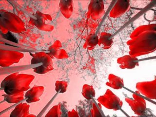 Adem Karaca Kalp Kırma Gönül Yıkma