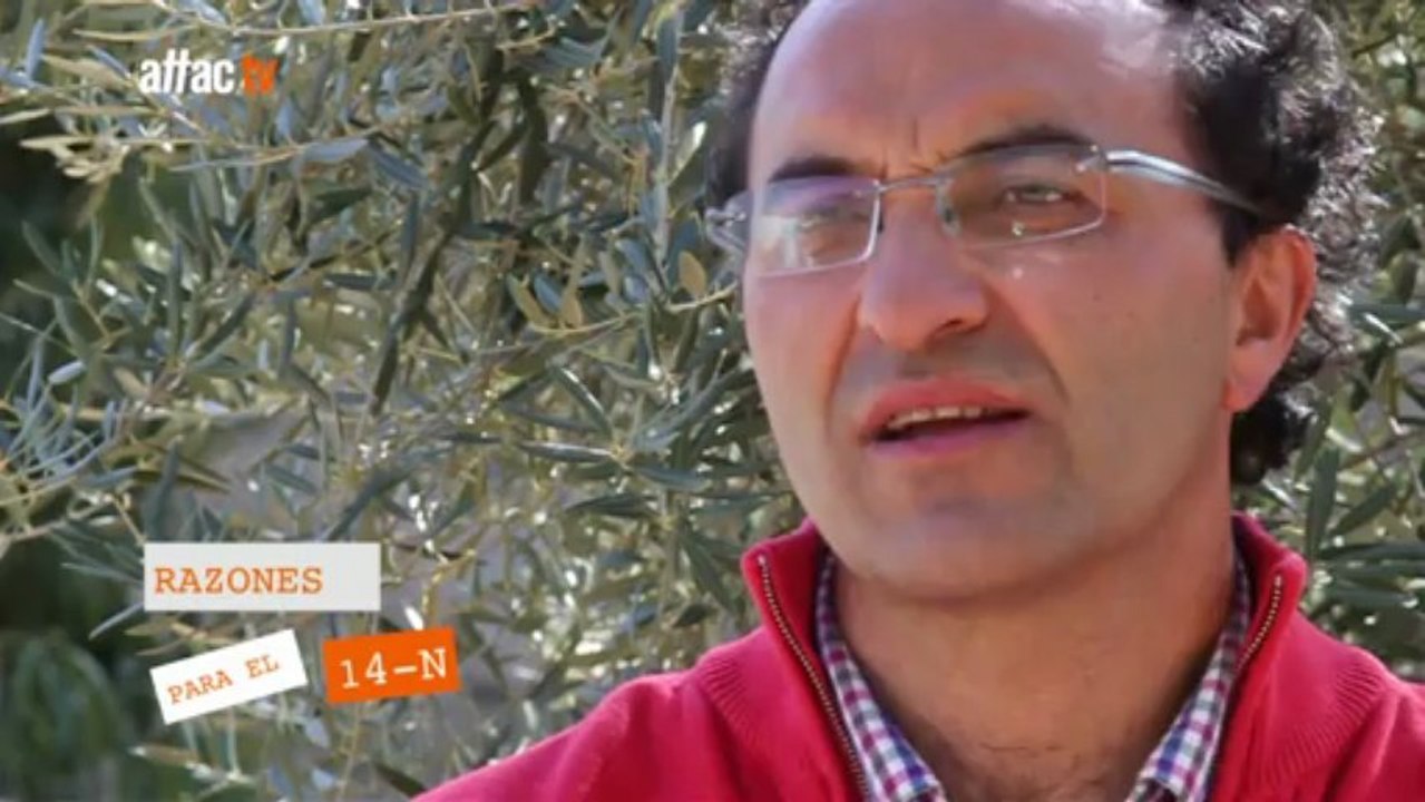 Razones para la Huelga General del 14 N - Gregorio López.