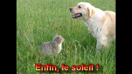 celeste et first 15-04-2013