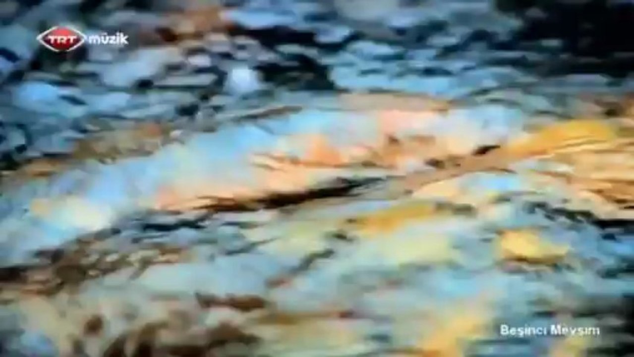 02 muharrem temiz cengiz özkan sırrı süreyya önder beni görüp yüzün öte dönderme 11.01.2013 beşinci mevsim