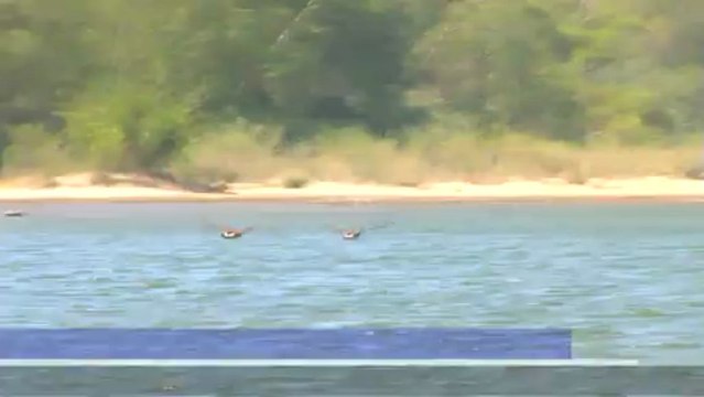 Russian River Camping 1/4 Mile Of Beach On The Russian River