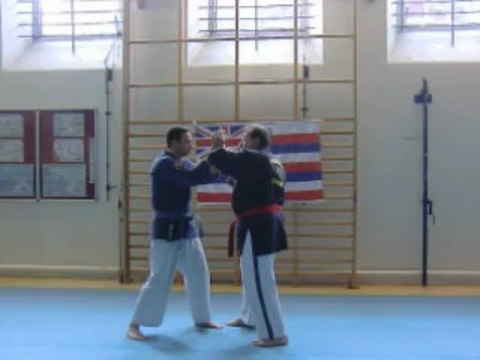 Ude Kake Sutemi en enchainement sur attaques poings-pieds par Jean-Paul Bindel, Hanshi