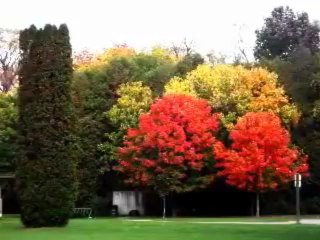 Canadian Autumn Colours