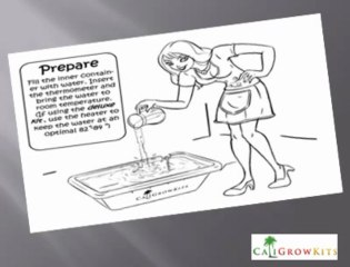 How To Grow Mushrooms