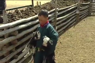 Zamanın durduğu yer: Moğolistan