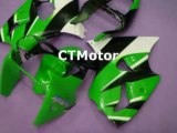 CTMotor 2000 2001 2002 KAWASAKI ZX6R ZX-6R 636 FAIRING 09A