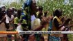 Pierre Rabhi diffuse l’agro-écologie en Afrique