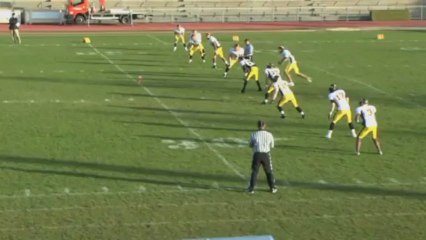 SUJET BLACK PANTHERS SPORT 8