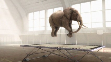 7 Tonnes 3 de Nicolas Deveaux